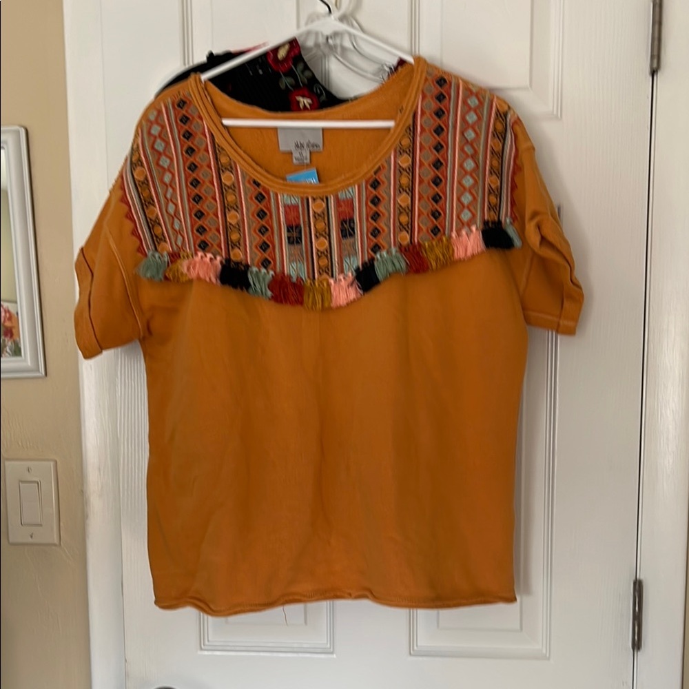 Anthropology Chloe Oliver Valencia embroidered fringe tassels pullover top XL